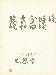 股票分时线 黄线和白线