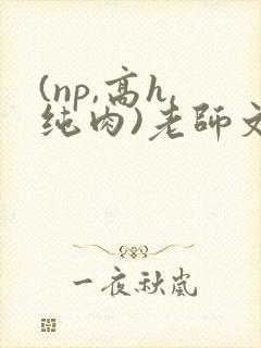 (np,高h,纯肉)老师文