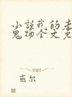 小说我的老公是鬼物全文免费阅读