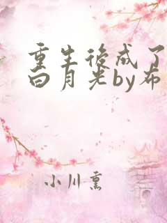 重生后成了前夫白月光by布偶