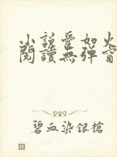 小说爱如火免费阅读无弹窗