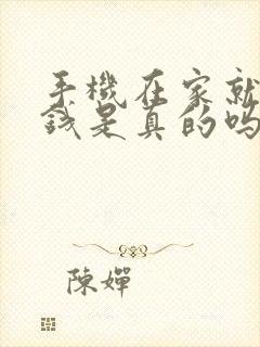 手机在家就能挣钱是真的吗