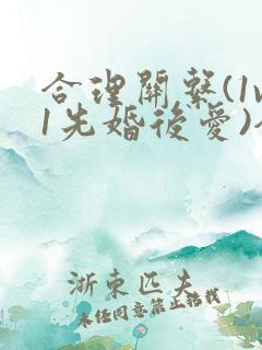 合理关系(1v1先婚后爱)全文阅读