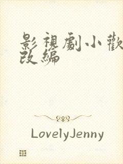 影视剧小欢喜h改编