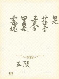 雾里看花是表白还是分手