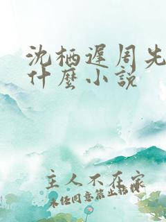 沈栖迟周先予是什么小说