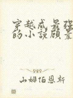 穿越成最强律师的小说顾晨