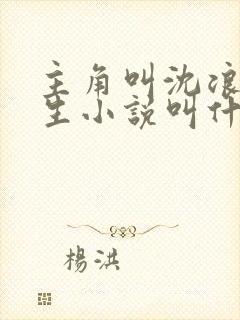 主角叫沈浪的重生小说叫什么名字