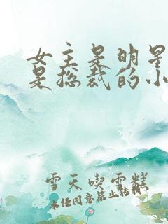 女主是明星男主是总裁的小说