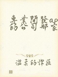 专业开发app的公司哪家好