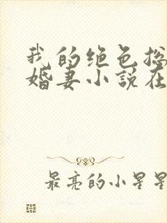 我的绝色总裁未婚妻小说在线阅读