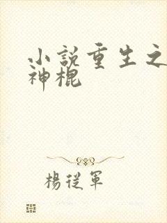 小说重生之天才神棍