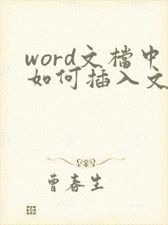 word文档中如何插入文件