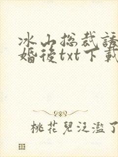 冰山总裁诱我闪婚后txt下载