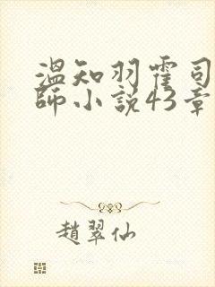 温知羽霍司砚律师小说43章