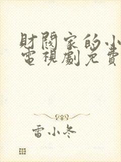 财阀家的小儿子电视剧免费