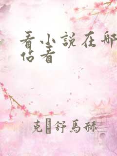 看小说在哪个网站看