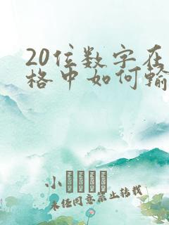 20位数字在表格中如何输入