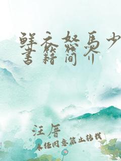 鲜衣怒马少年时书籍简介