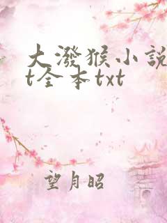 大泼猴小说txt全本txt