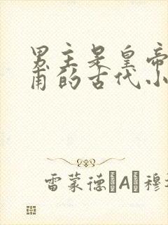 男主是皇帝姓皇甫的古代小说