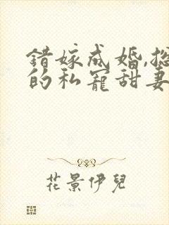 错嫁成婚,总裁的私宠甜妻短剧