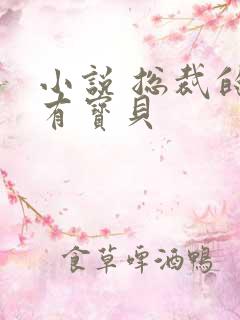 小说 总裁的私有宝贝