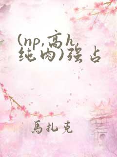(np,高h,纯肉)强占