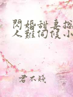 闪婚甜妻总裁大人难伺候小说