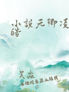 小说元卿凌宇文皓