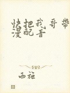 快把我哥带走动漫配音