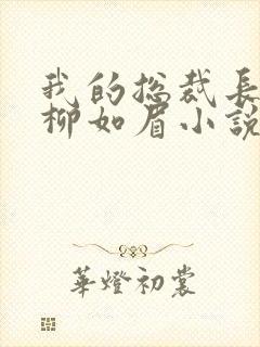 我的总裁长母亲柳如眉小说