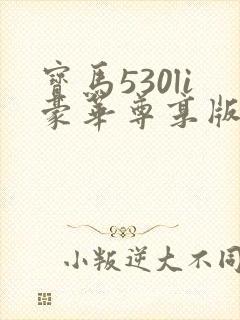 宝马530li豪华尊享版