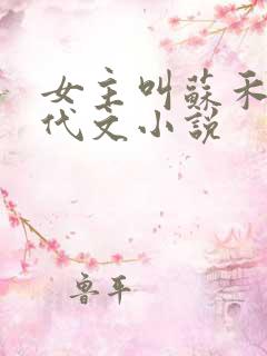 女主叫苏禾的年代文小说