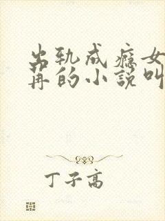 出轨成瘾女主丁苒的小说叫什么