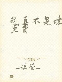 我真不是坏男人免费