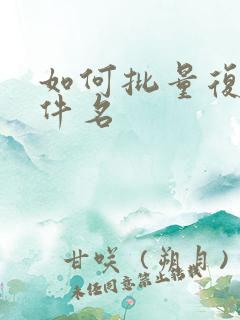 如何批量复制文件名