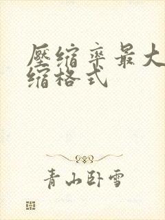 压缩率最大的压缩格式