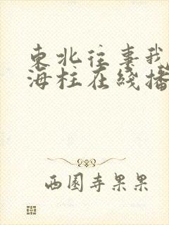 东北往事我叫刘海柱在线播放完整版