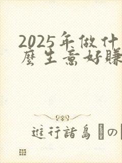 2025年做什么生意好赚钱投资又小