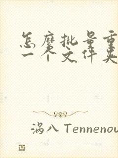 怎么批量重命名一个文件夹的文件