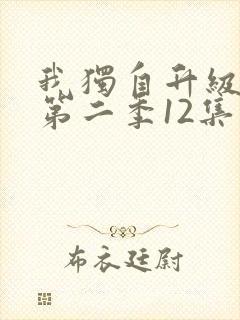 我独自升级动漫第二季12集