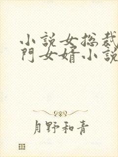 小说女总裁的上门女婿小说