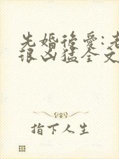 先婚后爱:老公很凶猛全文小说免费阅读全文