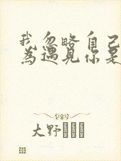 我忽略自己就因为遇见你是什么歌