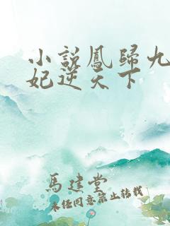 小说凤归九霄狂妃逆天下