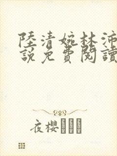 陆清婉林沛琛小说免费阅读最新章节