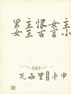 男主恨女主报复女主古言小说