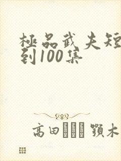 极品武夫短剧1到100集