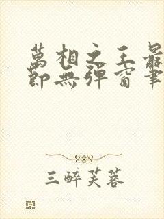 万相之王最新章节无弹窗笔趣阁